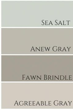 four shades of gray paint with the words sea salt, anew gray, fawn brindle and agreeable gray