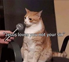 an orange and white cat sitting on top of a chair next to a microphone with the caption jesus loves you not your sin