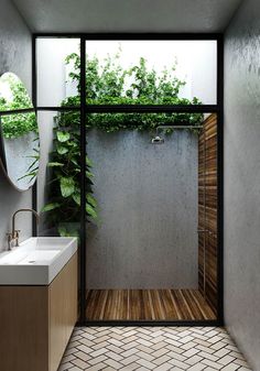 an instagramted photo of a bathroom with plants growing on the wall and in the shower