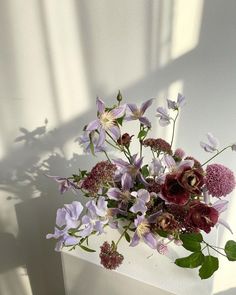 a vase filled with lots of purple flowers on top of a white countertop next to a window