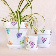 three pots with hearts painted on them and one plant in the middle is growing out of it