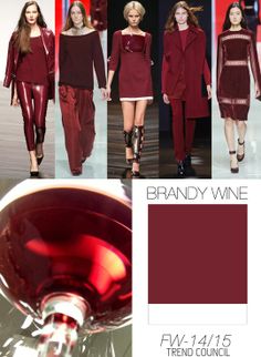 Trends A/W 2014-2015 Pantone 2015, 2014 Fashion Trends, Fall 2014 Fashion, Mode Tips, Winter Typ