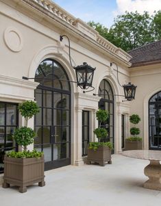 an outdoor patio with potted plants and lights on the side of it, surrounded by large windows