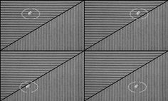 four different angles are shown in black and white, with the same pattern on each side