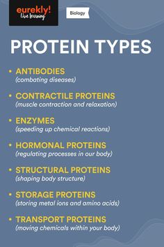 the words protein types are shown in this graphic above it is an image of what they look like