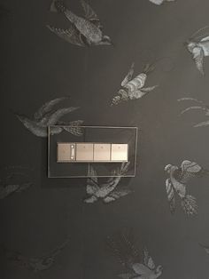 an electrical outlet on a wall with birds and flowers painted on the wall behind it