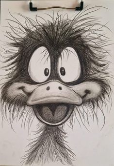 an ostrich's face is drawn in pencil