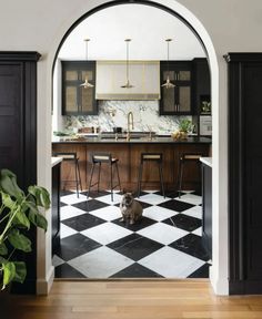 a dog sitting in the middle of a kitchen with black and white checkered flooring