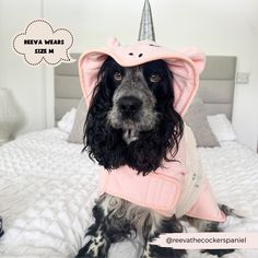 a dog wearing a pink unicorn hat on top of a bed