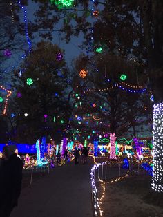 people walking down a path covered in christmas lights at night with lots of colorful lights hanging from the trees