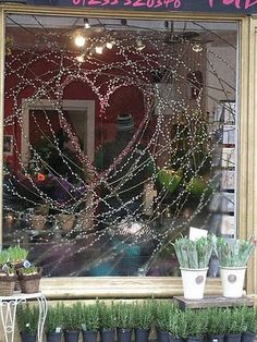 a store front with potted plants in the window