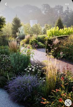 a garden with lots of plants and flowers