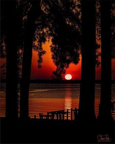 the sun is setting behind some trees by the water with a bench in the foreground