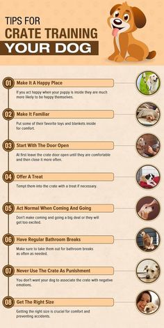 tips for crate training your dog New Puppy Checklist Training, Things To Train Your Puppy, New Puppy Area Ideas, Crate Training Puppy While Working, Best Puppy Training Tips, Puppies Training Tips, Puppy 101 Tips, Treats For Puppies Training, Getting A Puppy Checklist