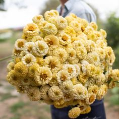 a man holding a bunch of yellow flowers