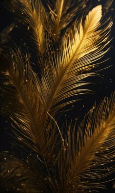 some very pretty yellow feathers on a black background with gold flecks in the foreground