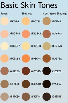 an info sheet with different types of skin tones and their corresponding names on the bottom