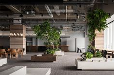 people sitting at tables in an office setting with plants on the desks and chairs