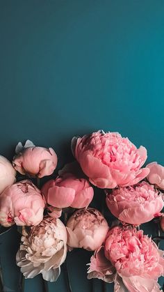 pink peonies on a radiator against a teal blue background with copy space