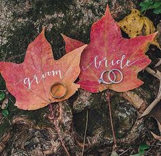 two leaves that have been placed next to each other on the ground with wedding rings