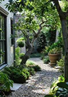 an outdoor garden with gravel path and potted plants on either side of the house