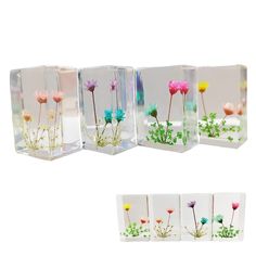 four glass vases with flowers in them on a white background, each containing different colors