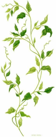 Artsy Drawings Aesthetic, Drawing Vines, Artsy Drawings, Leaves Drawing, Vine Drawing, Leaves Sketch, Plant Sketches, Ivy Plants, Vine Leaves