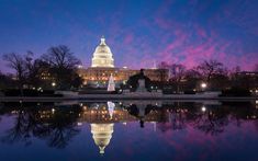 the capitol building is lit up with christmas lights and reflecting in the water at night