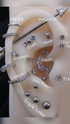 an ear with different types of piercings and names on the top one is labeled