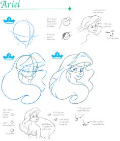 some sketches for ariel from the little mermaid