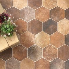 a potted plant sitting on top of a wooden bench next to a tiled floor