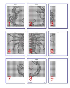 six different pictures with numbers on them showing the names of animals and how to draw them