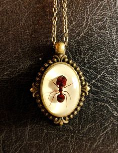 "The perfect piece to wear on a picnic! Its a big headed red ant, centered and encased in clear resin with white backing, mounted on a bronze colored setting, with a matching 18\" chain. The cameo is such high relief, it looks like the bug is floating! The Cabochon alone is 18x25mm. Talk about a conversation starter! This is the EXACT piece you will be getting. No \"random specimens\" here!Since each piece is made one at a time, there may be imperfections, so feel free to look him over closely W Bug Necklace, Heart Real, Red Ant, Bug Jewelry, Scorpio Necklace, The Bug, Big Head, High Relief, Metal Lace