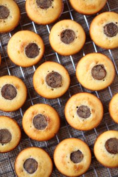 chocolate chip cookies on a cooling rack ready to be baked in the oven for consumption