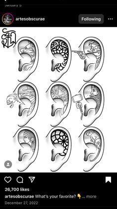 an image of the human brain and its functions