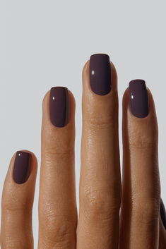 Capture the quiet elegance of overcast skies with this warm, inviting and utterly refined colour. Both sophisticated and calming, this shade whispers of subtle mystery and timeless charm. A dark greyish-mauve. Fall Color Short Nails, Short Square Nails Fall Colors, Plain Autumn Nails, November Gel Nails Colors, Thanksgiving Nail Colors Fall, Classy Nails Squoval, Short Nail Ideas Fall 2024, Simple Nails One Color, Fall Nails Mauve