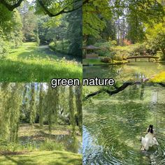 three different pictures with trees and water in the foreground, green nature on the far side