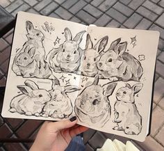 a person holding up an open book with drawings of rabbits on it's pages