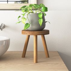 a potted plant sitting on top of a wooden stool next to a white sink