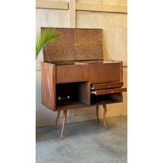 a wooden cabinet with drawers and a plant in it