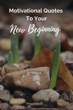 inspirational quotes to help you with your new beginning Get Excited, New Beginnings, To Read, Motivational Quotes