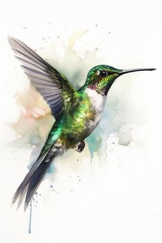 a watercolor painting of a hummingbird in flight