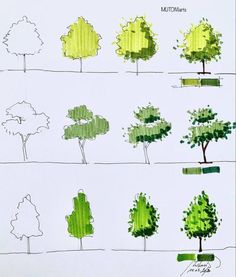 several different trees are drawn in green and yellow