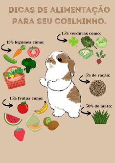 a dog surrounded by fruits and vegetables on a pink background with the words in spanish