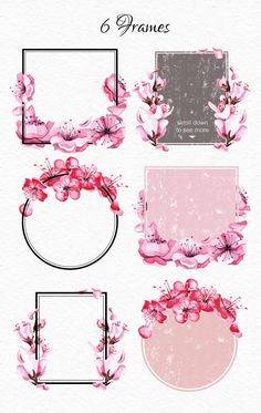 pink flowers and frames on a white background