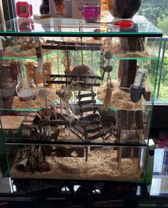 a glass display case filled with lots of toys and animals on top of a wooden table