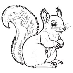 the squirrel is sitting on its hind legs and eating an acorny nut coloring page