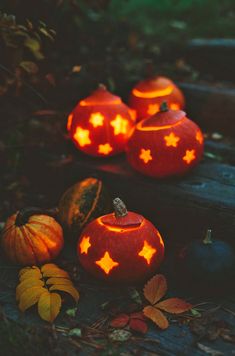 three pumpkins with carved stars on them