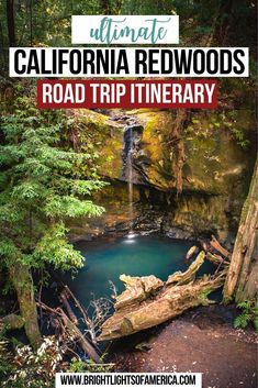 the california redwoods road trip itinerary with text overlay that reads ultimate california redwood