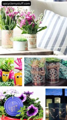 the collage shows different types of flowers in vases and pots with numbers on them